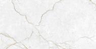   Laparet Torso Gold .(6001200) ,  (..)