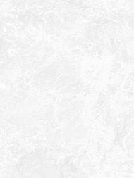 ���� ��������� �� ��������� Wiganford Milenium I (1,06�10,05) ����������, ����� AK2644 (���.)