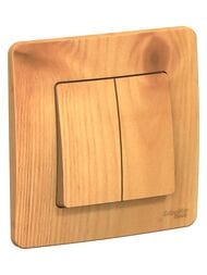  Systeme Electric BLANCA   2- c.5, 10A 250B,  BLNVS010505