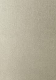 ���� ��������� �� ������� ������ Thibaut Texture Resource V (0,673�8,23) ����� T57159 (�����)