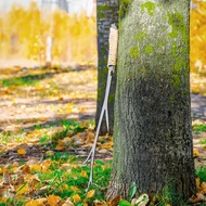  Fire-House ""  ,  KV