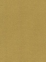 ���� ��������� �� ��������� ROBERTO CAVALLI Home 8 (1,06�10,05) �������, ������� 19017 (���.)