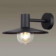 ��������� ���������� Odeon Light 4833/1W, ������