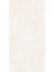 ��������������� ������ Alma Ceramica Beton Pro (600x1200) ����� GFU60120BTP04R (��.�)