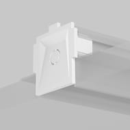 �������� �������� � ������������� ����������� Maytoni Radity (������) TRA084EC-12W 2��, �����