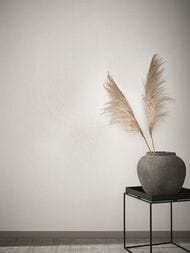     Marburg Dune 32501 (0,5310,05) ,  (.)