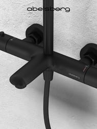 ������� ������� Abelsberg Perfecta SNS61102MB � ����������� ��� ����� � ����, ������������� ������