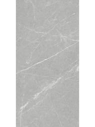 ��������������� ������ Staro Antislip Dakota Gris (600�1200�8) ����� (��.�.)