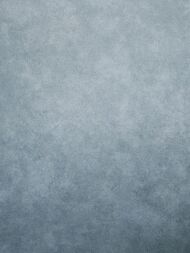 ���� ������������ Hohenberger Urban Classics (0,53�10,05) ���������, ����� 30041 (�����)