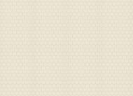 ���� ��������� �� ��������� Zambaiti Vision (0,7�10,05) �������������� ����, ������� 76030 (���.)