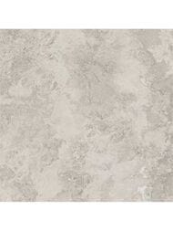 ��������������� ������ Porcelanite Dos Rapolano 1867 Grey (1000x1000) ��� ������ (��.�.)