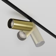 �������� ���������� Maytoni Focus Led Exility (����� ���) TR032-2-12W4K-M-BBS 4000K 12�� 36�, IP20, ������