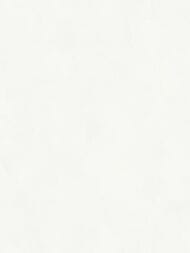 ���� ��������� �� ��������� Wall Up Bright Whisper (1.06x10.05) ������, ������� W197001 (���)