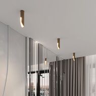 ��������� ���������� Elektrostandard Apex 25113/LED a068291, ������