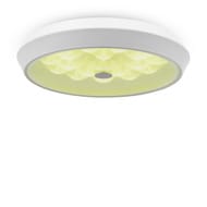 ���������� ���������� Freya Cells (����) FR10012CL-L24W, 80 Ra, 220/240 V, IP20,�����