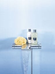 ��������� Grohe Grohtherm 2000 New 34464001 ��� �����, ��������� � ��������