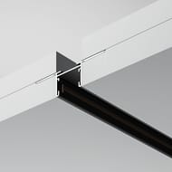 ���������� 2� ������������ ��� ��� 12,5�� Maytoni Basity (������) TRX172-122B, ������, IP20