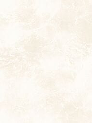 ���� ��������� �� ��������� Wiganford Milenium II (1,06�10,05) ����������, ����� AK2632 (���.)