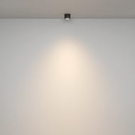 ���������� ���������� Maytoni Rendo (�����) C095CL-GX53-B, 12��, IP44, GX53, ������