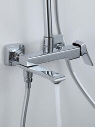 ������� ������� � ���������� �������-��������������, ������ � ������� ����� , FRAP ����, F2484