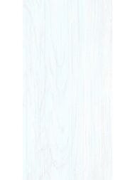 ������ ��������� Alma Ceramica North (249x500) ����� TWU09NRT006 (��.�)
