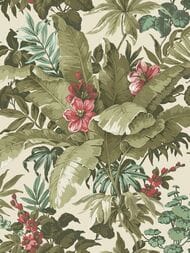 ���� ��������� �� ��������� Grandeco Asperia A 55802 (0,53�10,05) �����, ������� (���.)