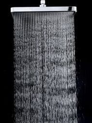 ������� ������� � ���������� �������-��������������, ������ � ������� ����� , FRAP ����, F2484