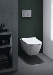 GEBERIT Sigma20 Клавиша смыва, двойной смыв, глянцевый хром/кольца матовый хром 115.882.KH.1