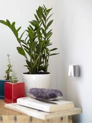  Werkel  Gallant () W5020001