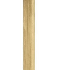   CERRAD Pergusa Beige (19312027)  (..)