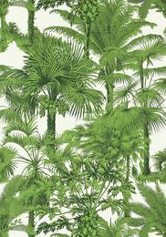 ���� �������� Thibaut Tropics (0,69�8,22) ������� T10103 (�����)