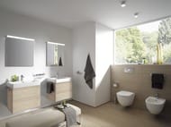 ��������� LAUFEN Frame25 4.4748.1.900.007.1 (650�25�25) ��������������, ������� ����