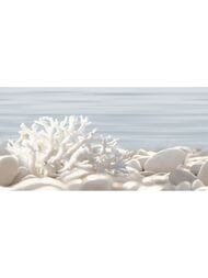 ����� Alma Ceramica Del Mare (249x500) ������������ DWU09DLM624 (��.)