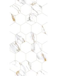 ������ ��������� Alma Ceramica Dublin (249x500) ����� TWU09DBL014 (��.�)