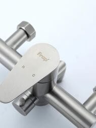 ��������� ��� ����� � ������� � ���������� , FRAP ����������� �����, F2248