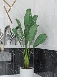 ������ Gracia Ceramica Noir white border 02 (60�2500) ���������, ����� (��.)