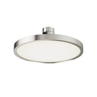 �������� ���������� Maytoni Plato (�����) TR153-1-10W4K-PT Flarity 4000K 10�� 120�, IP20, �������
