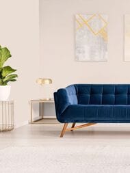 ���� ������������ Hygge 77 Colors C3 05 (1,00�10,05) ������� (���.)