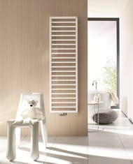 ����������������� �������� Zehnder Subway SUB-100-060 (973�600) �������, ����: �����