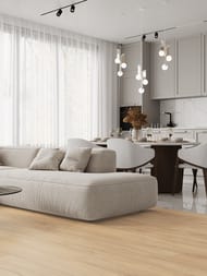   Laparet Dandy Honey (20012009,2) ,,  (..)