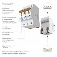 �������������� ����������� 3P 50 A C 4,5 �� Werkel W903P504