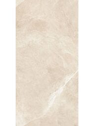 ��������������� ������ Alma Ceramica Basalto (600x1200) ������� GFU60120BST04R (��.�)