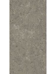 ��������������� ������ Atlas Concorde Marvel Meraviglia Grigio Elegante ���.(600�1200) AJIU (��.�)