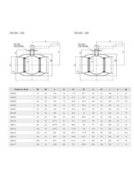      NAVAL DN100, PN 25 284412