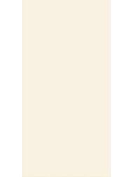 ��������������� ������ Alma Ceramica Spector (600x1200) ������� GFU60120SPR04R (��.�)