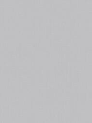 ���� ������������ Artsimple Geometry (1,00�10,05), �����, ARTS17 008/1 (���.)