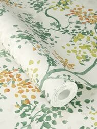 ���� ��������� �� ��������� Rasch Allegretto (0.53x10.05) ������, ������������ 791730 (���.)