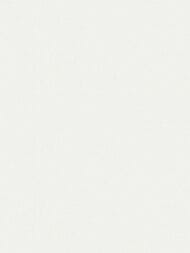 ���� ��������� �� ��������� As Creation Elite Of Shades (1,06�10,05) ����� 78651-1 (���.)