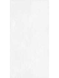 ������ ��������� Alma Ceramica Brenta (249x500) ����� TWU09MNR030 (��.�)
