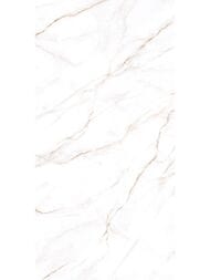 ��������������� ������ Alma Ceramica Neo Calacatta (600x1200) ����� GFU60120NCL04R (��.�)